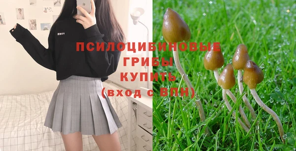 а пвп мука Абдулино